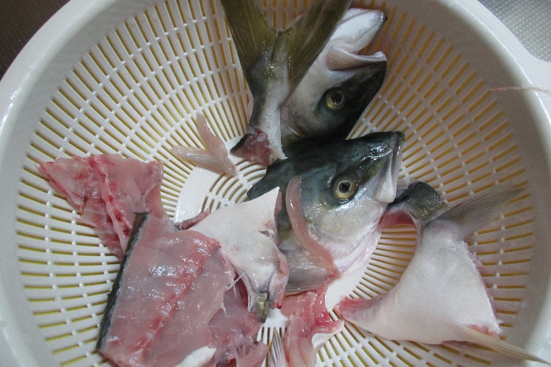 土曜日の晩ごはん ふくらぎとスルメイカのお刺身 と フクラギのあら汁 と いかのトンビのあぶり焼き はぶちゃんのうちのごはん